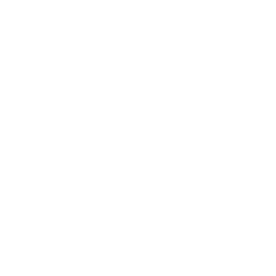GS FL Logo wei+ƒ auf Transparenz